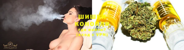 сатива Вязники
