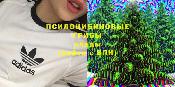 кристаллы Вяземский